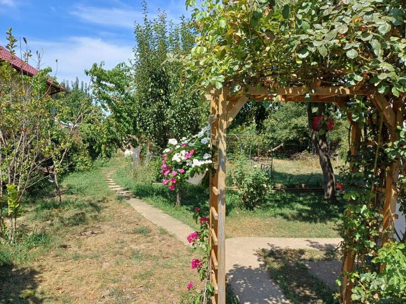 Buda, Cornetu, vila 7 camere, curte, 959 mp,  comision 0%